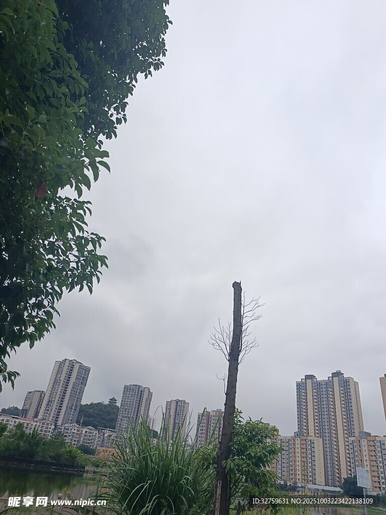 城市遠(yuǎn)景中的高樓與綠植