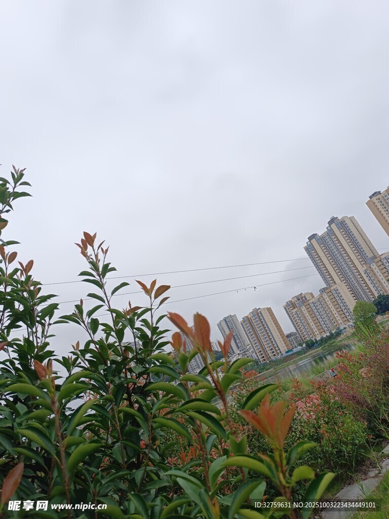 城市邊緣的綠植與高樓