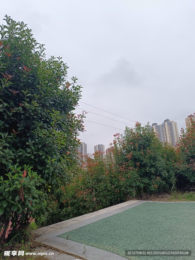 戶外綠意盎然的休閑場(chǎng)地