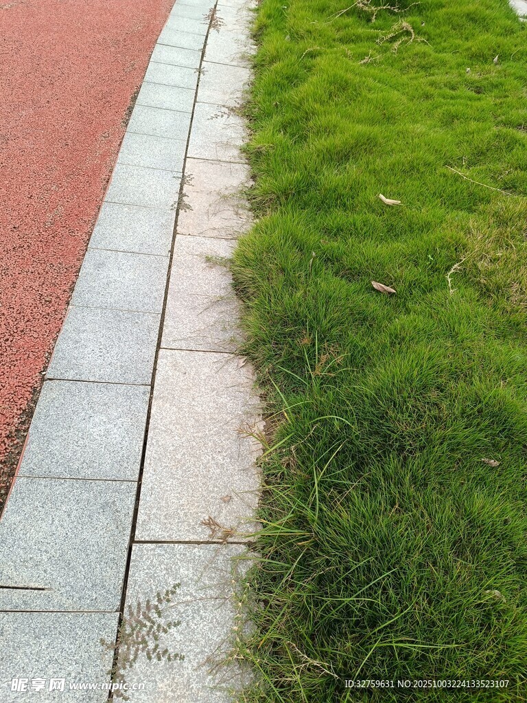 路邊綠草與磚石路面
