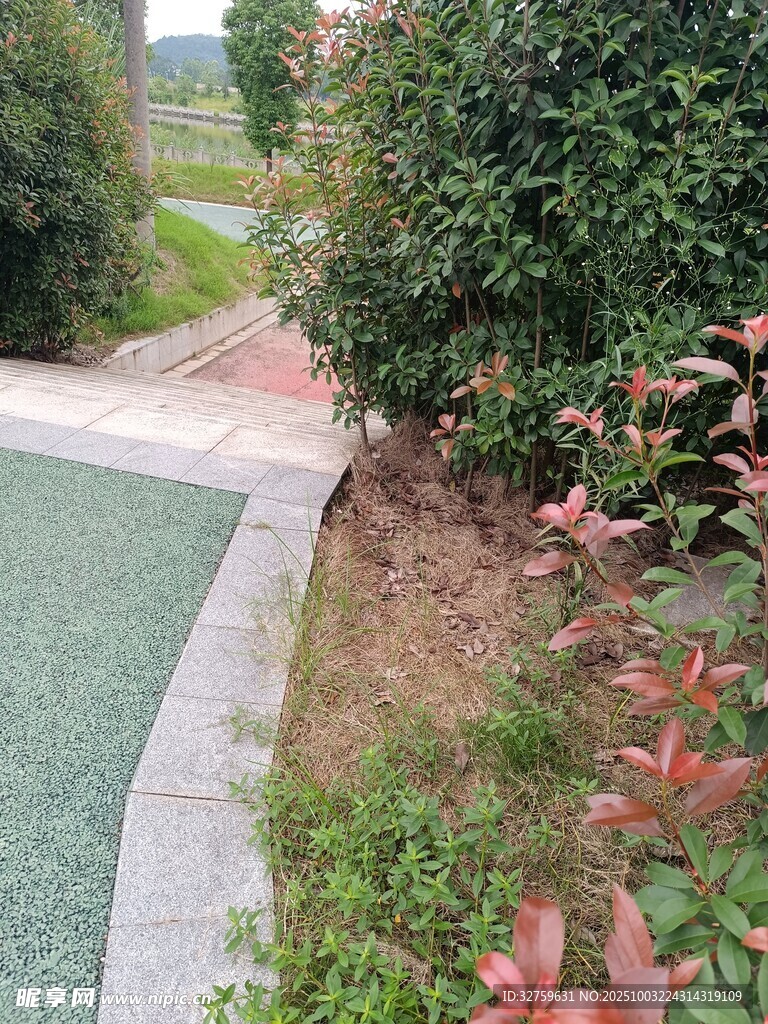戶外綠植環(huán)繞的小徑