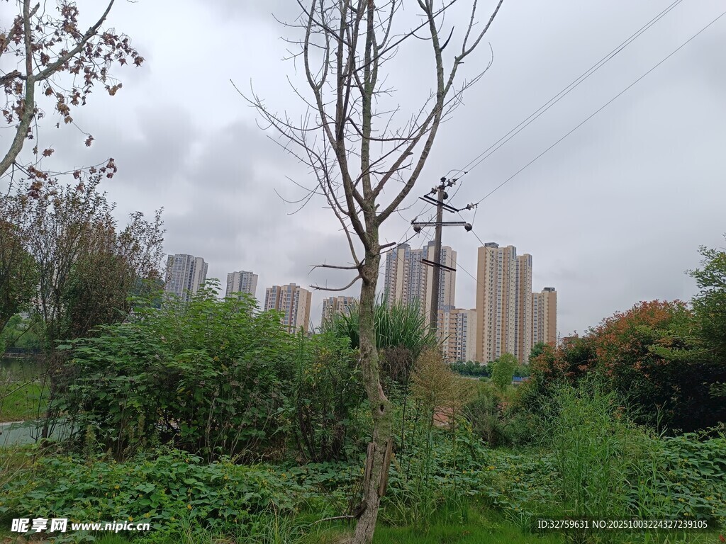 城郊綠植與高樓景觀