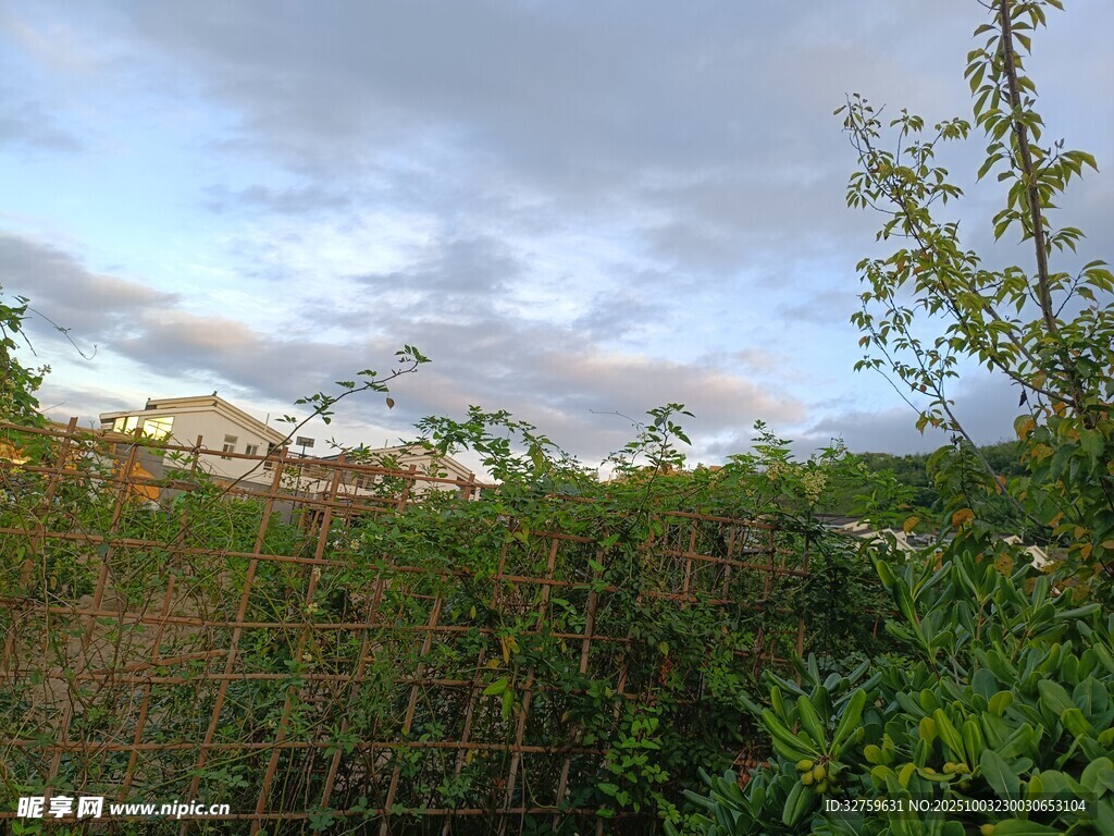 黃昏下的綠植與遠(yuǎn)處建筑