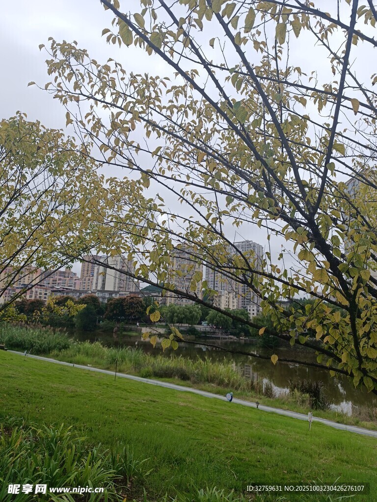 春日公園綠意盎然景致