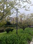 公園綠植景觀