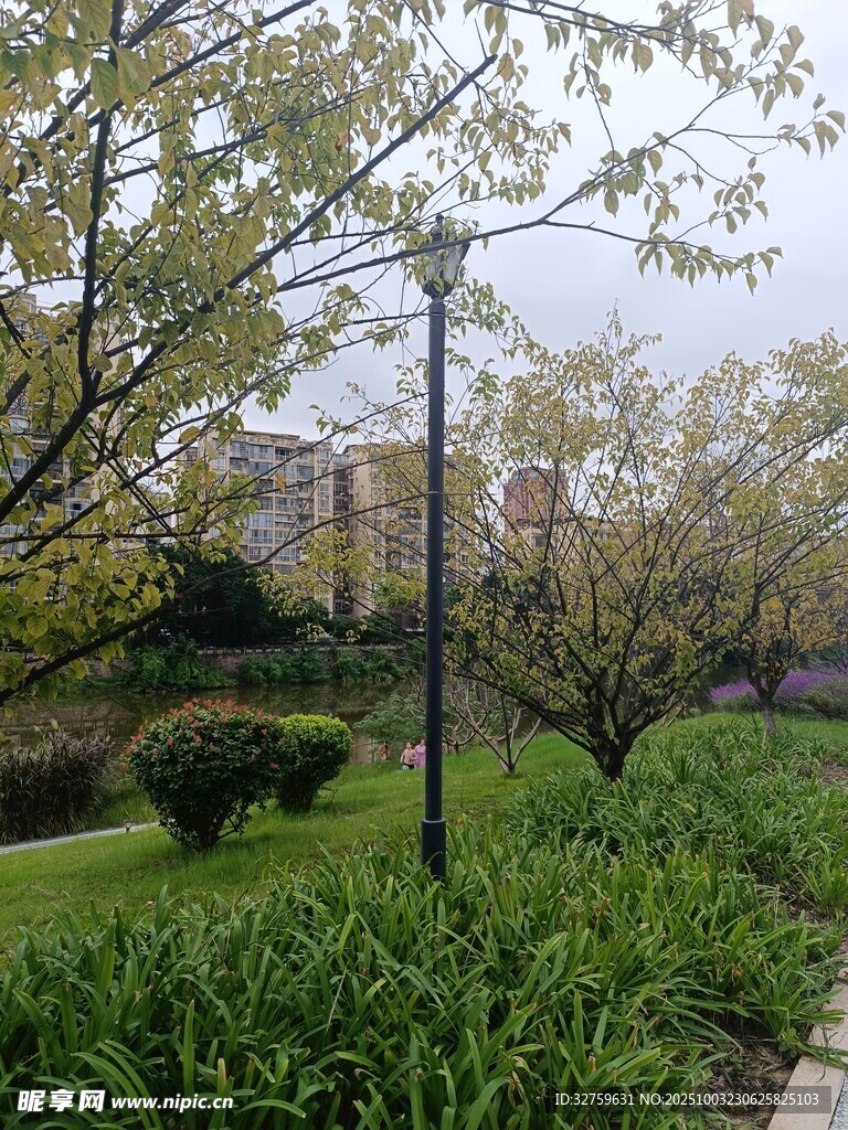 公園綠植景觀