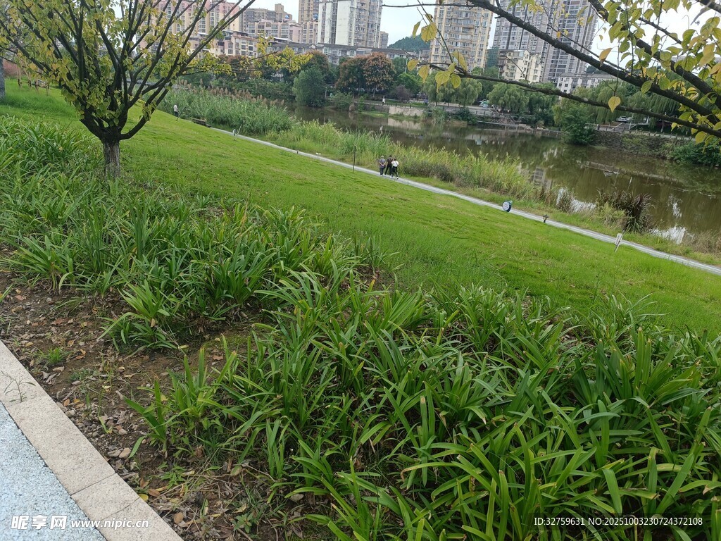 城市公園中的綠植與水景