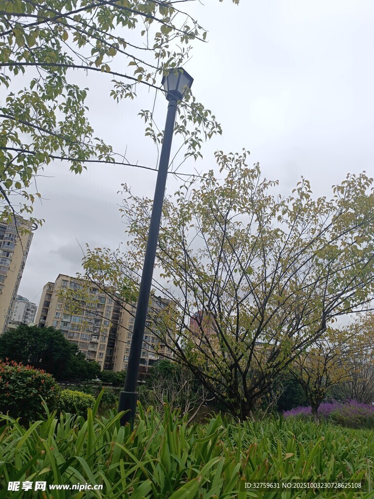 城市公園中的綠植與路燈