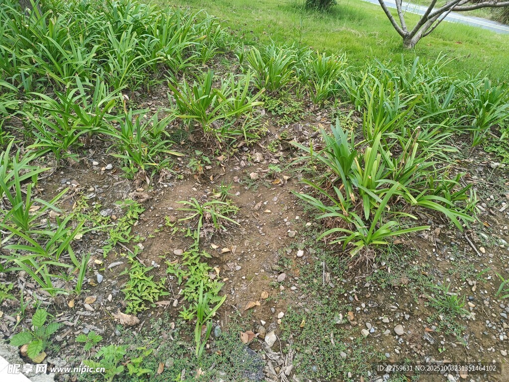 戶外草地與裸露泥土場(chǎng)景