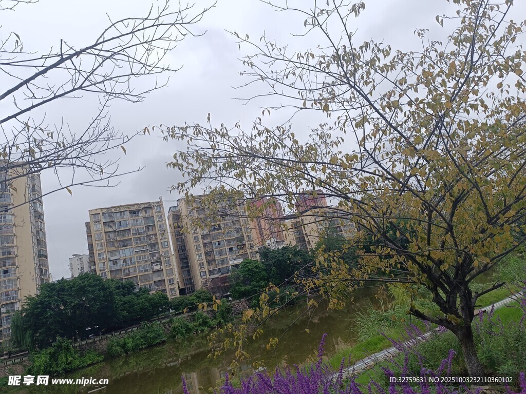 城市河畔風景
