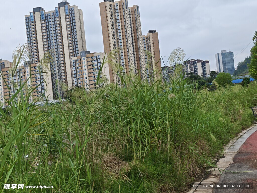 城市邊的草地與高樓景觀