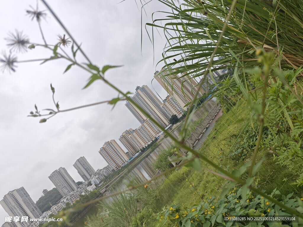 城市與綠植交織的景致