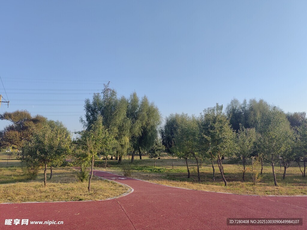 公園紅色步道與綠樹景觀