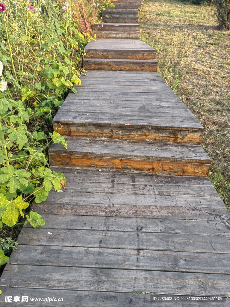 木質臺階小徑自然景致