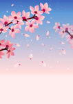 春日爛漫櫻花綻放圖景