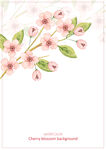 粉色櫻花枝條背景圖