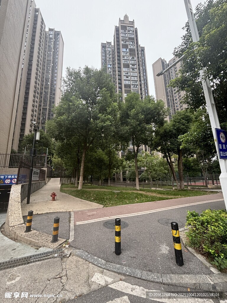 城市街道旁的高樓與綠化