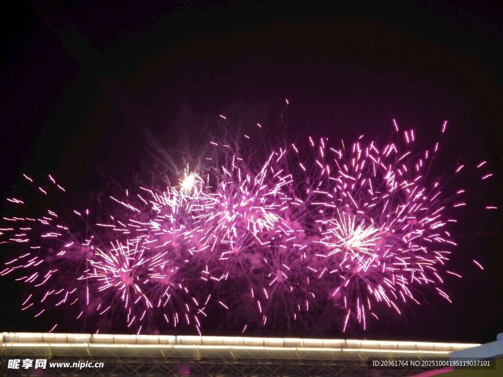 絢麗紫色煙花綻放夜空