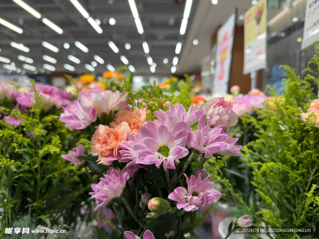 室內(nèi)繽紛花卉景觀