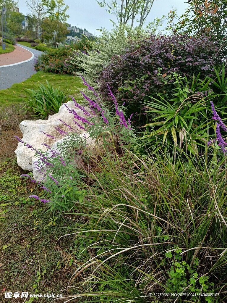 花園中的多彩植物景觀