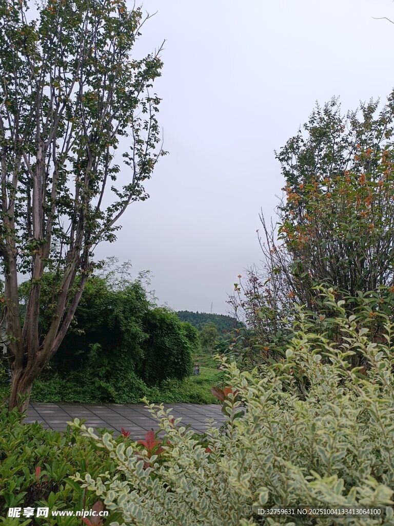 郊外綠意盎然的自然景致