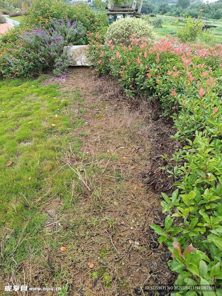 花園小徑