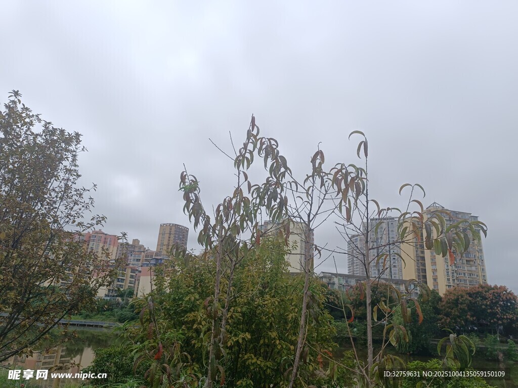 城市邊緣的綠植與建筑景觀