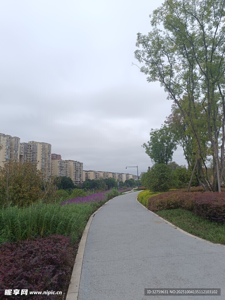 城市中的寧靜林蔭步道