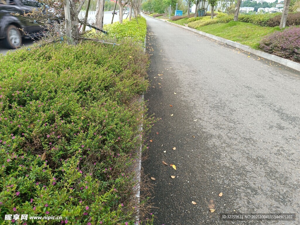 路邊綠植與寬闊道路