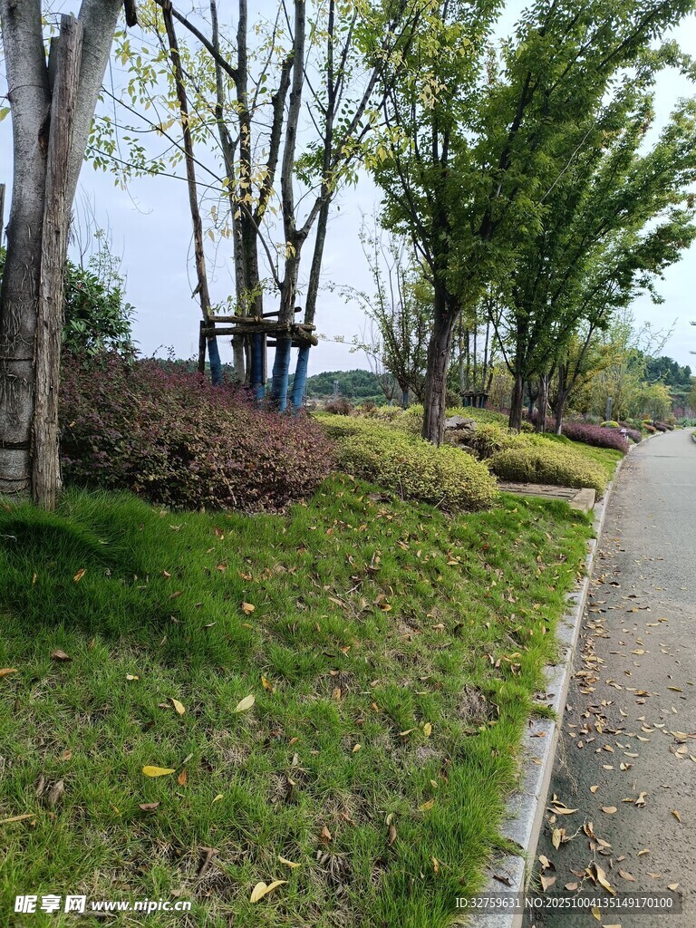 路邊綠意盎然的景觀
