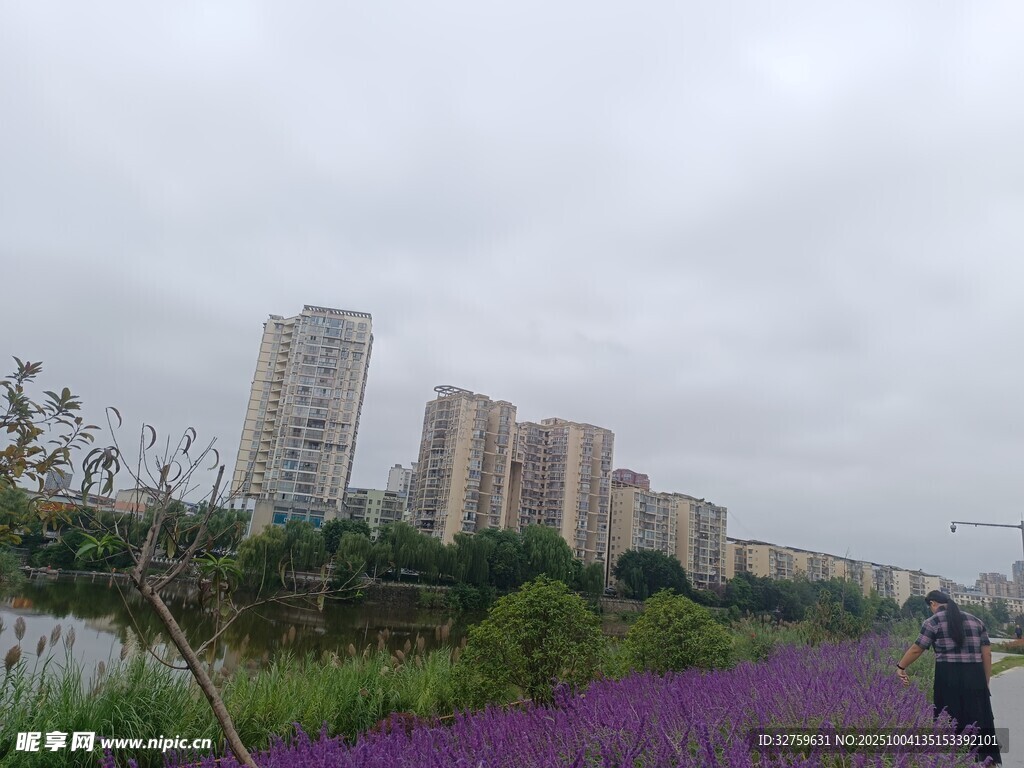 城市中紫色花田與高樓景觀