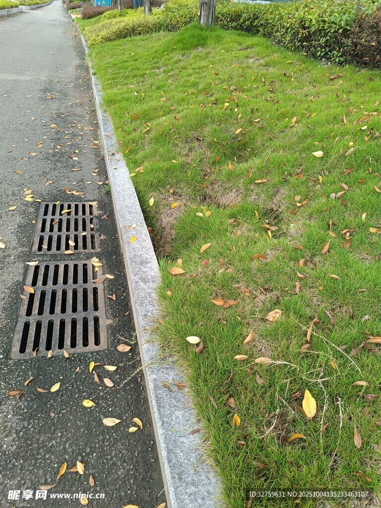 路邊排水口及周邊草地
