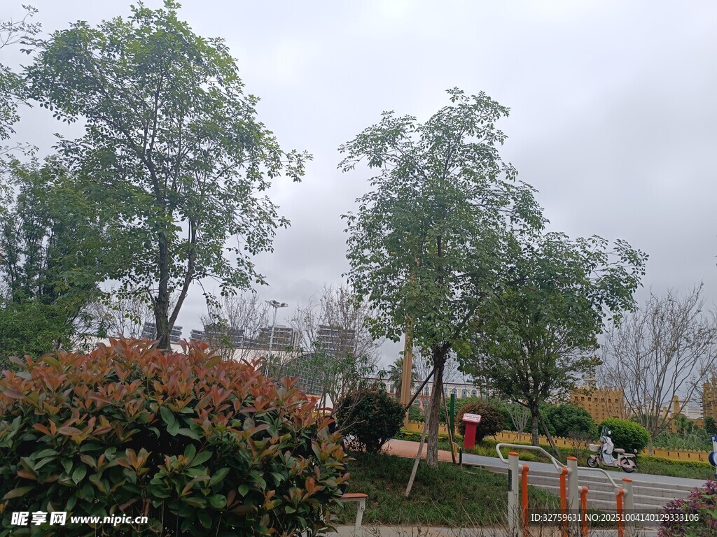 霧中園林景觀