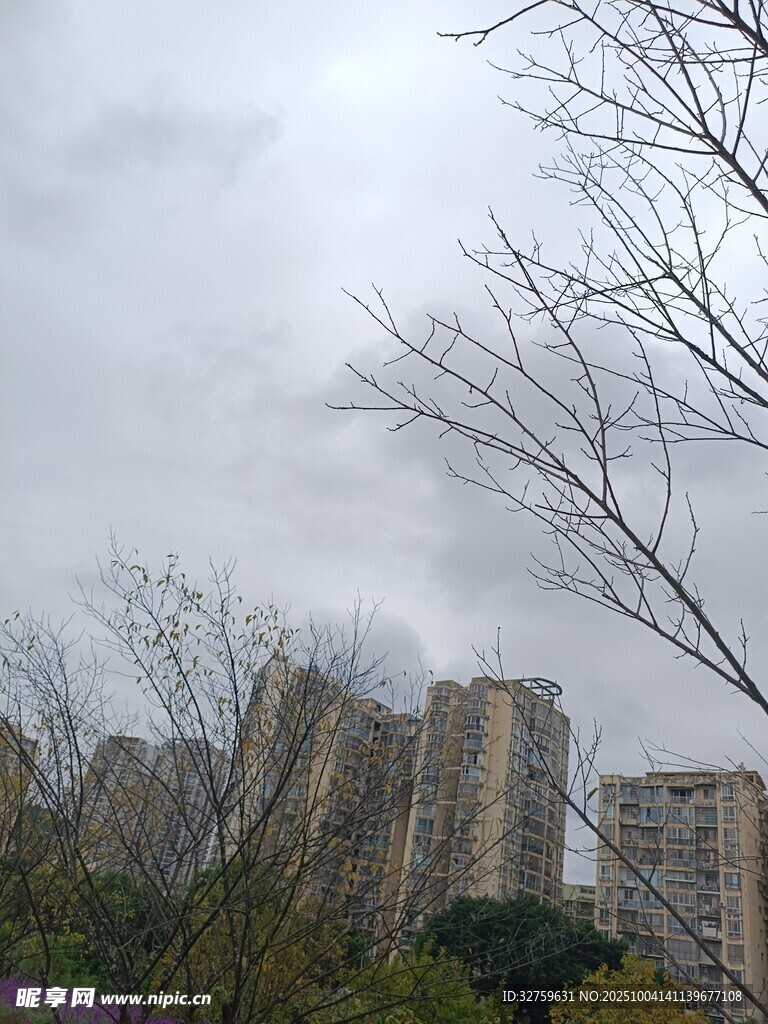 陰天城市中的高樓與樹木