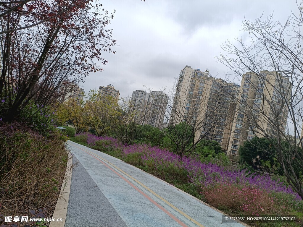 城市小徑旁的花草與建筑
