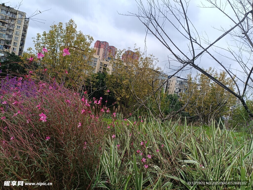 城市中的自然花草景觀(guān)