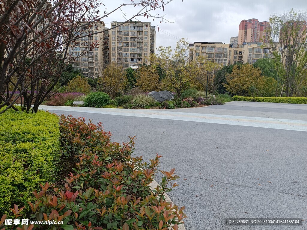 城市路邊綠植與遠處建筑