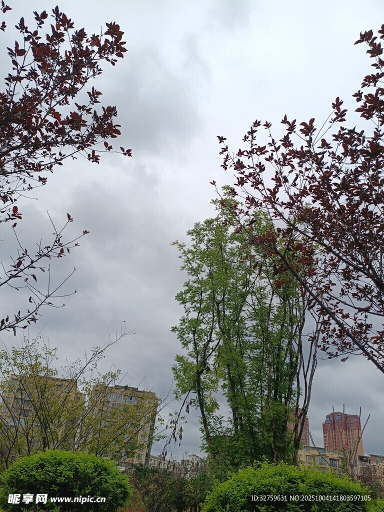 春日園林景致