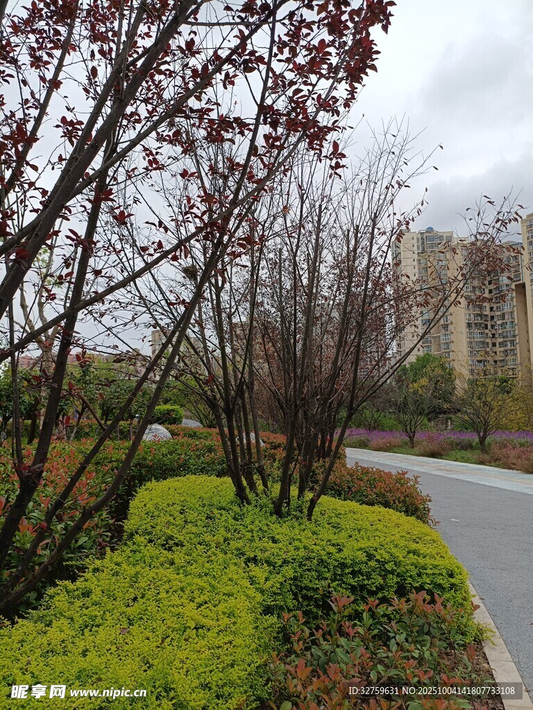 城郊小路旁的綠植景致
