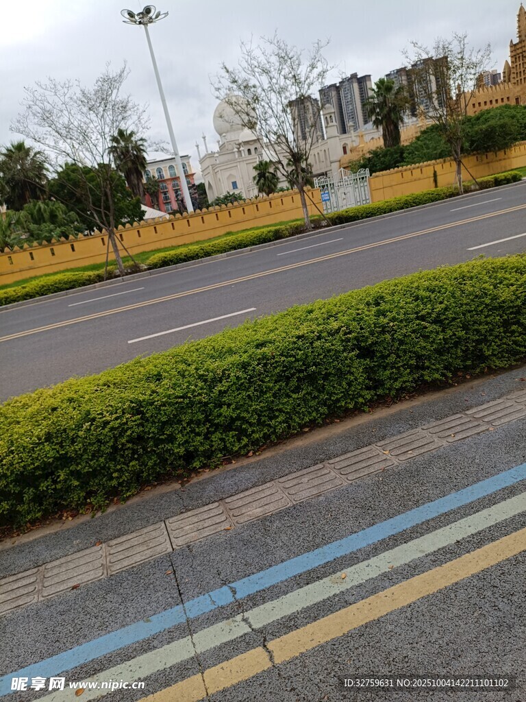 城市道路邊的綠植景觀