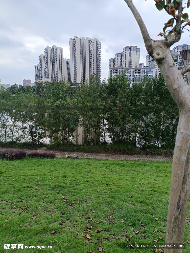 城市綠地旁的高樓景觀
