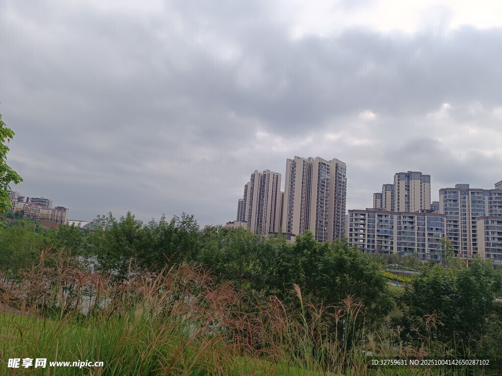 城郊綠地與遠處高樓景觀