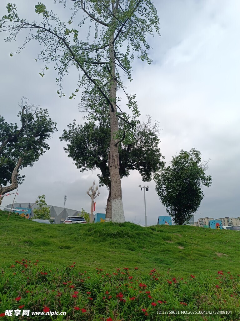 綠意盎然的草地與樹(shù)木
