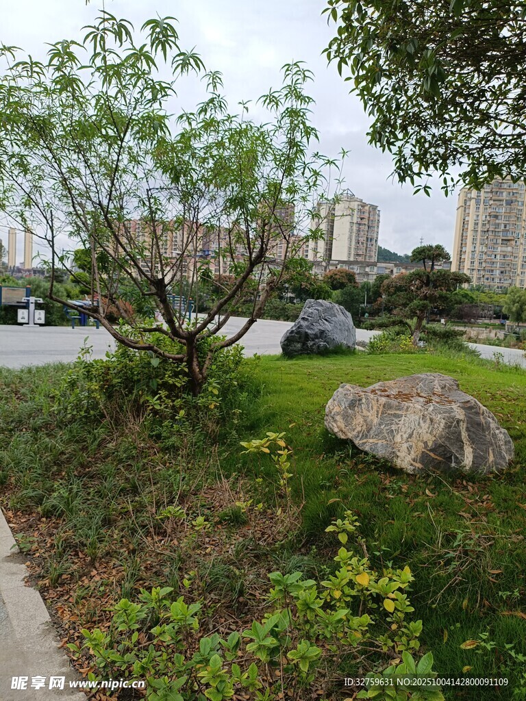 城市中的自然景觀一角