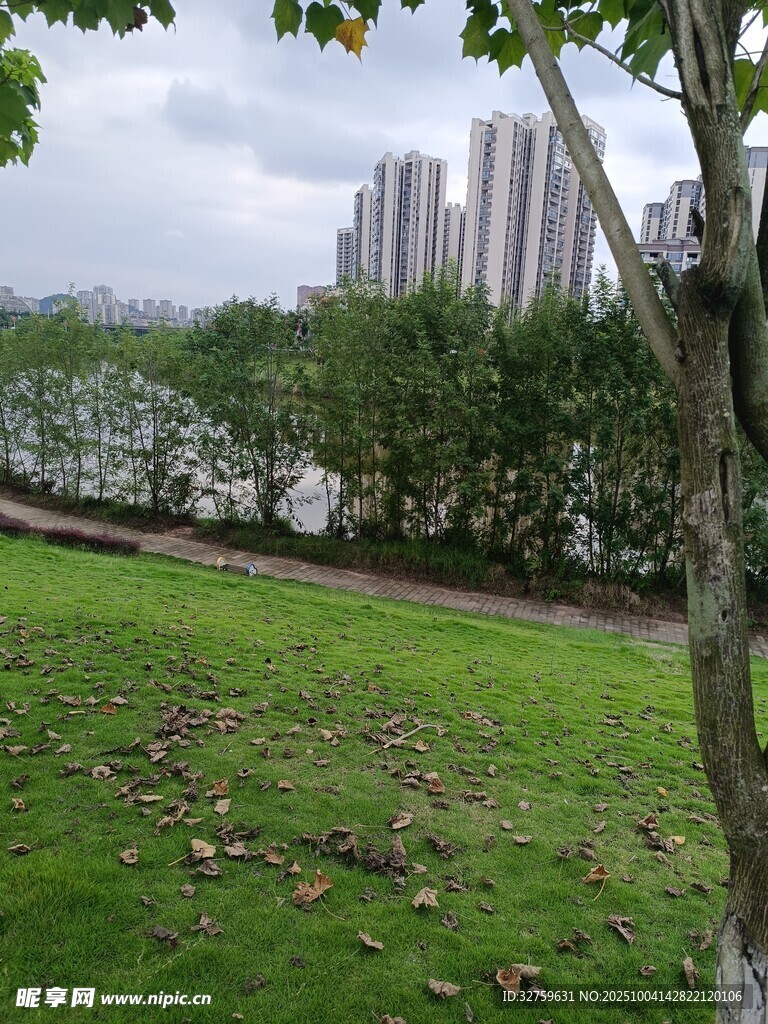 城市綠地旁的樹木與遠景