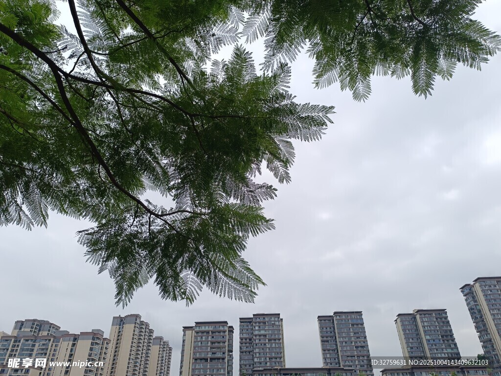 城市間的綠樹(shù)景觀