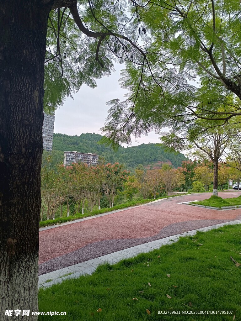 林間紅徑 