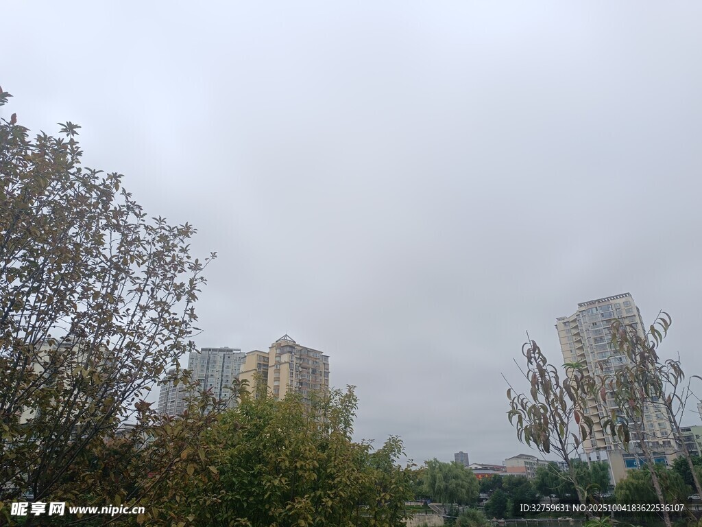 陰天城市景觀與樹木
