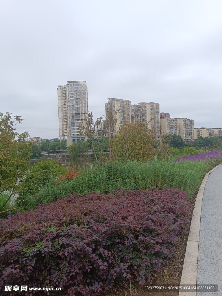 城市路旁綠植與高樓景觀