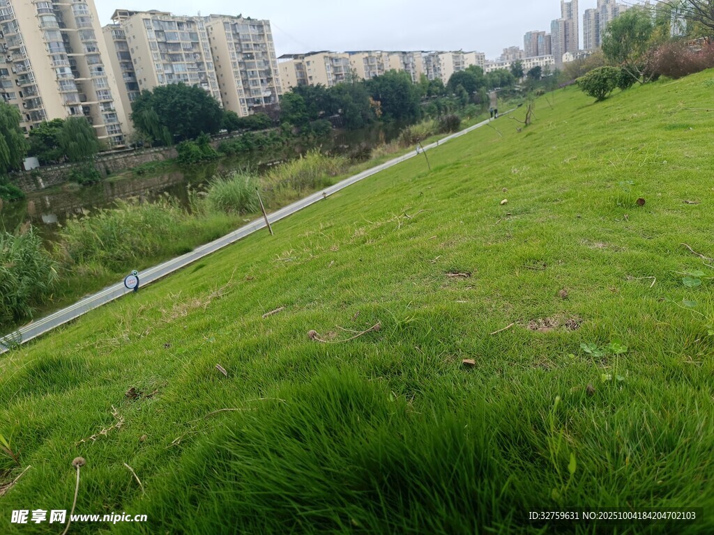 城市邊的翠綠草地風(fēng)景